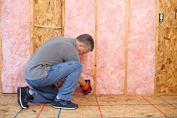 Best Fiberglass Insulation  in Muldrow, OK